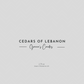 Cedars of Lebanon Melts