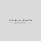 Cedars of Lebanon