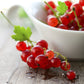 Red Currant Jars