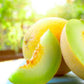 Honeydew Melon Melts