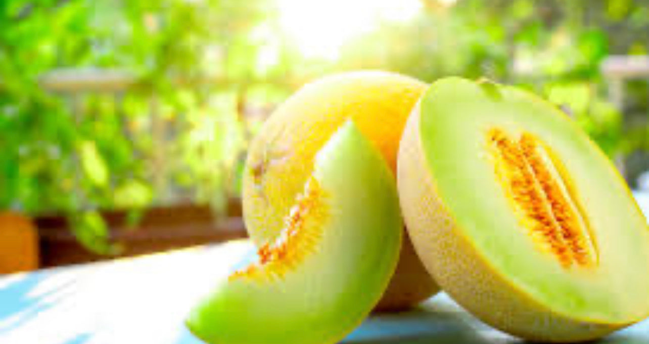 Honeydew Melon Jar